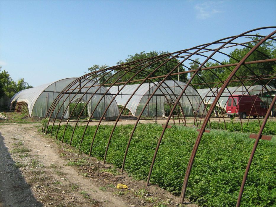 Продава се Къща в с. Поликраище, Област Велико Търново - 5718 кв.м за 9 €/кв.м - Снимка #5