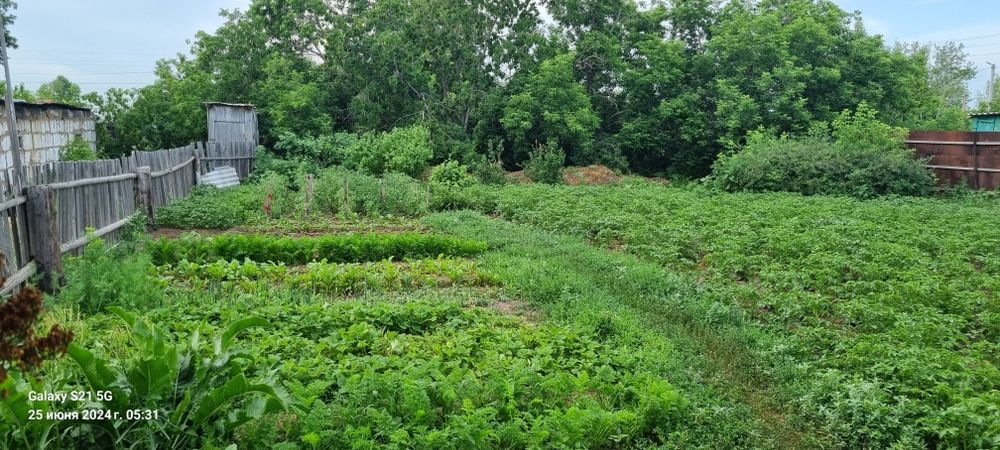 Продам дом в с. Алгабас