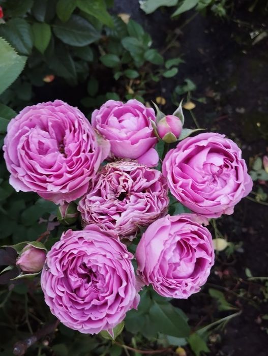 Продам кирпичный дом