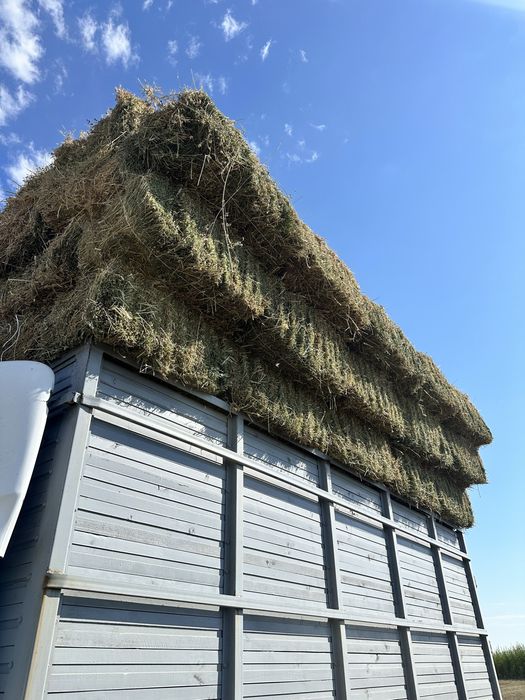 Жоңышқа пресс 220 штук