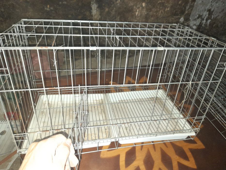 Quyon uchun in ovqat suv idishlari ham bor