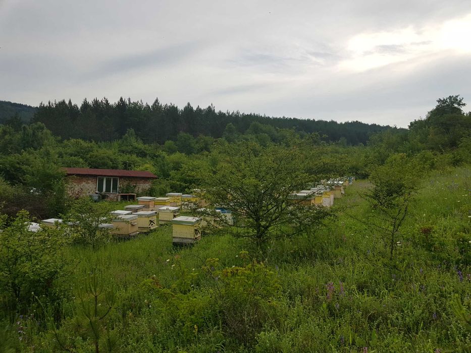 Продавам панорамен имот от 8 000 кв.м