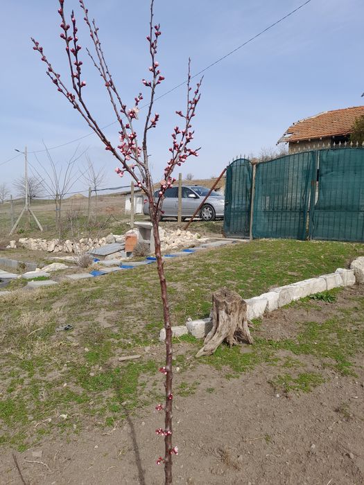 Vand teren intravilan com Pestera