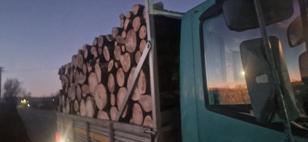 Carbune lignit  și Lemne