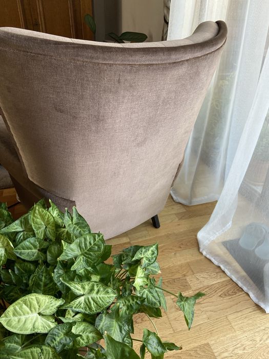 Set canapea si fotolii vintage