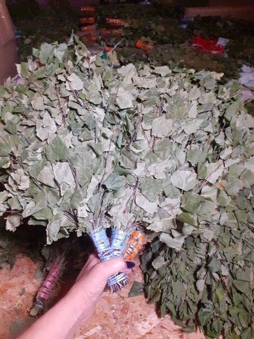 Веники березовые
