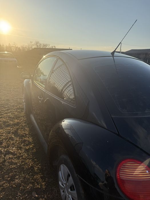 Volkswagen beetle