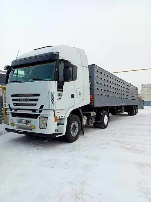 Услуги скотовоза - Междугородние перевозки Костанай на Olx