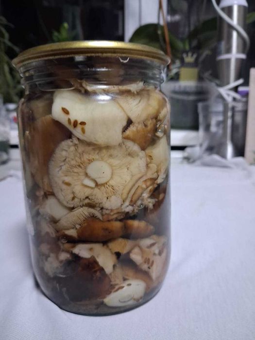 Грузди, Валуи маринованные