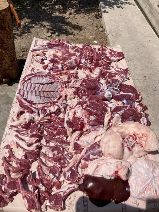 “Qo‘y · Qo‘chqor · So‘yib Beramiz — Sifatli Xizmat va Yetkazib Berish”