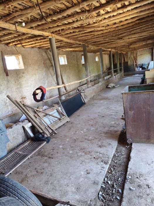 Помещение для фермы в аренду