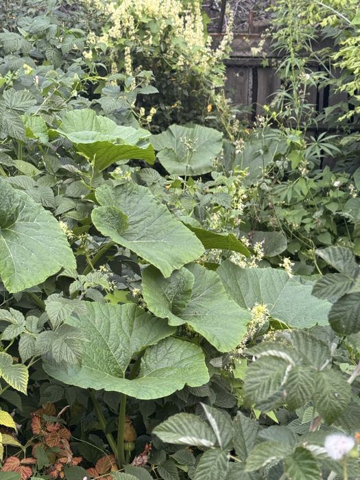 Продается  уютный дом