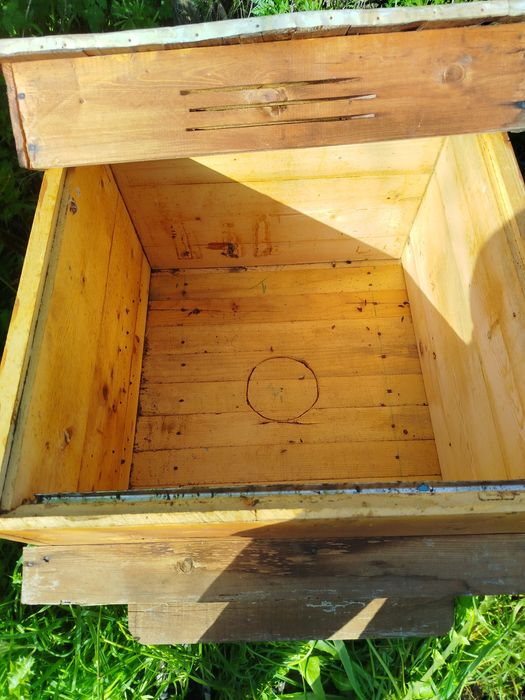 12 рамкови  Кошери с магазините .