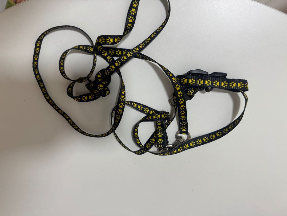 Переноска и шлейка для кота