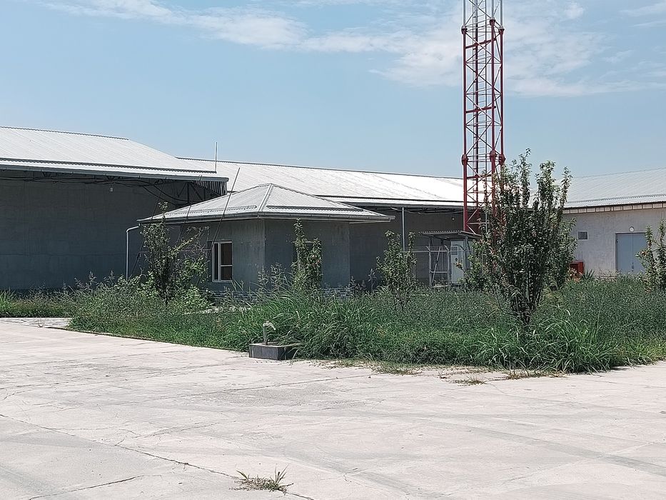 Продается участок или сдается в аренду.