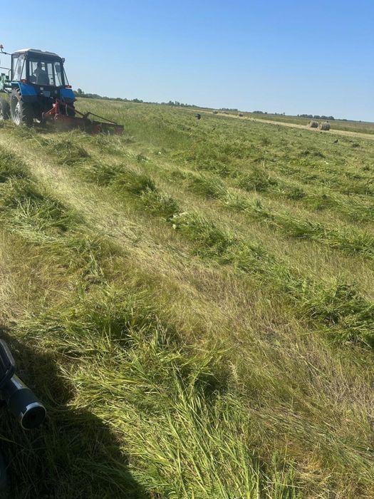 Продам сено луговое 2025 г покос.