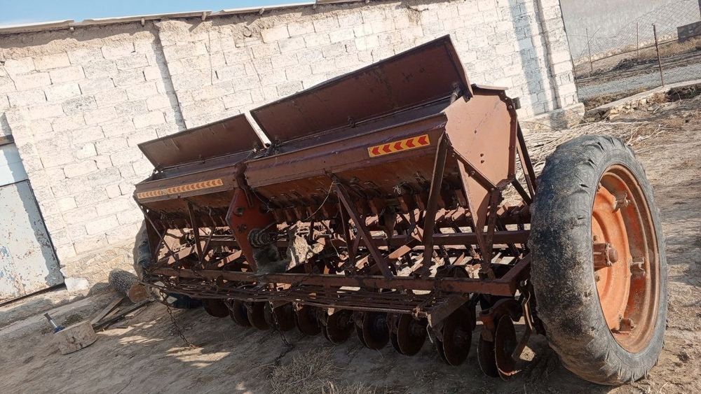 G'alla selka yaxshi holatda