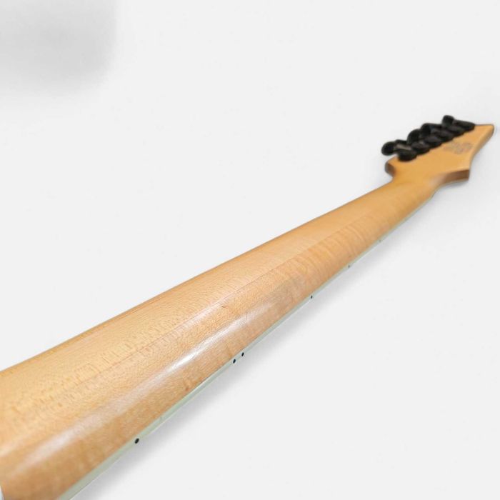 Електрическа китара Ibanez RGR321EX