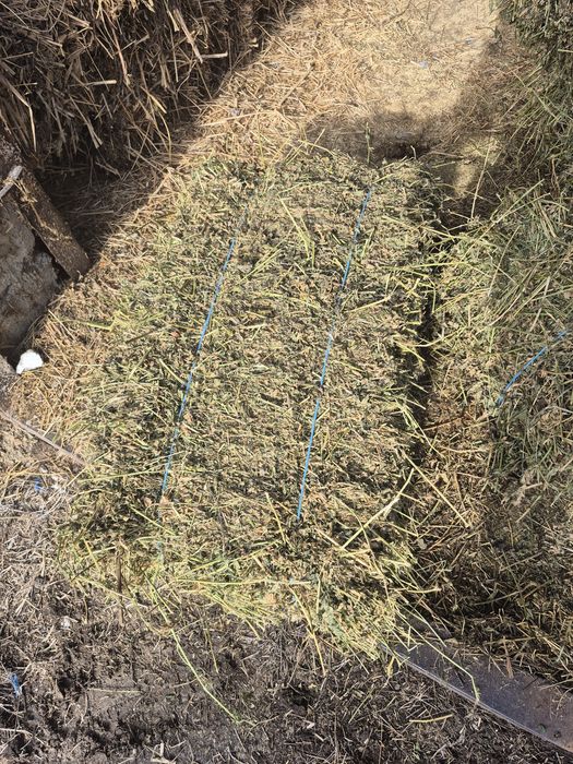 Vând baloti de fân Lucernă Producție 2025 trasport la domiciliu