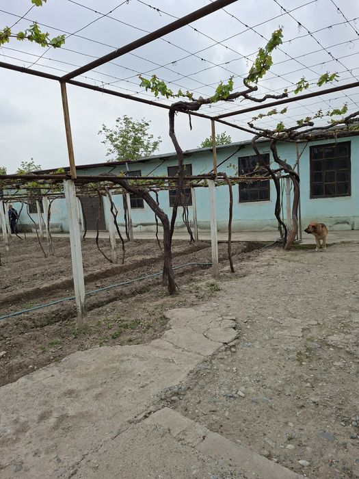 Ёрмазорда 3 та 9 сотихлик участка. Катедж куриб сотувчилар учун аъло и