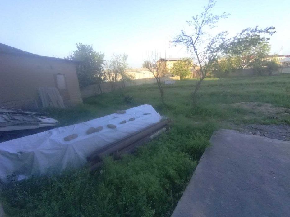 Hovli yer narxida / Zenit