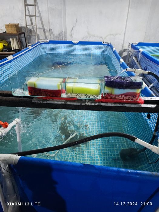 Basseynlar sotiladi b/u baliqlari ham bor