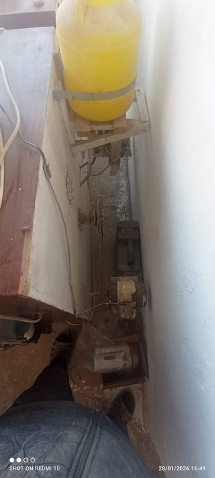 Ibqubotoʻr va vadno'y 1200ta tuxum oladi ichiga