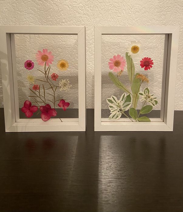 Гербарий в деревянной рамке,под стеклом