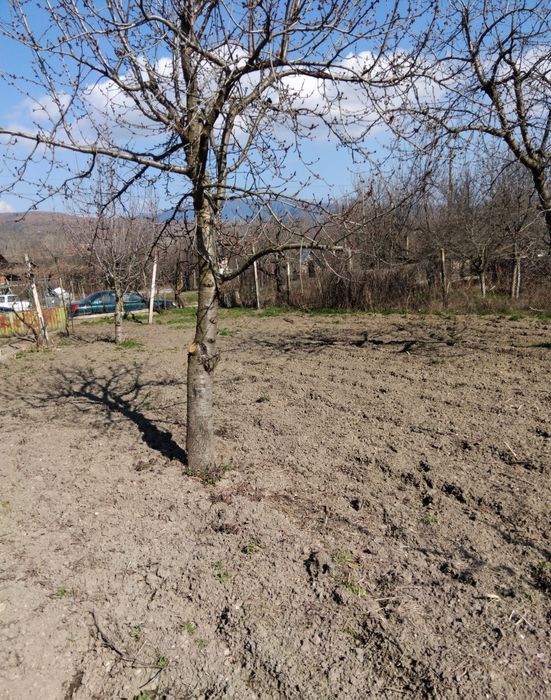 Продава се Къща в с. Драговищица, Област Кюстендил - 50 кв.м за 317 €/кв.м - Снимка #2