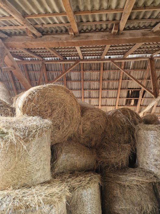 Vând baloti de fan amestecat cu ghizdei