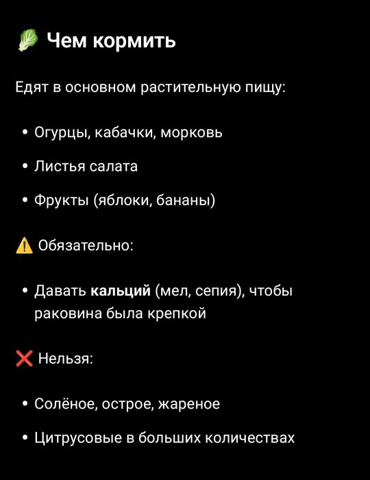 Улитки Ахатин  детёныши