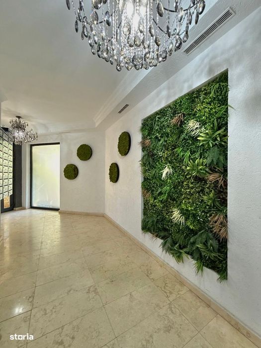 Studio 45MP - Complex Zig Zag | Mamaia Nord