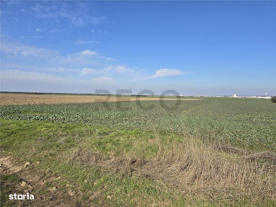 RECO Teren in Oradea