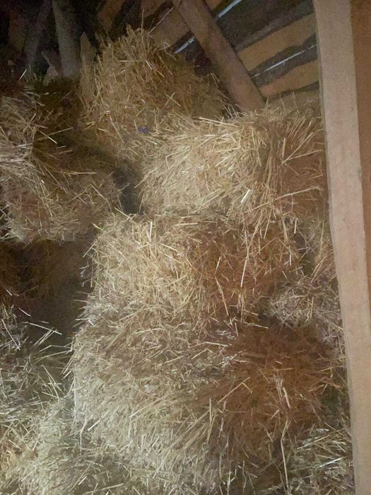 Vand baloti de paie si fan