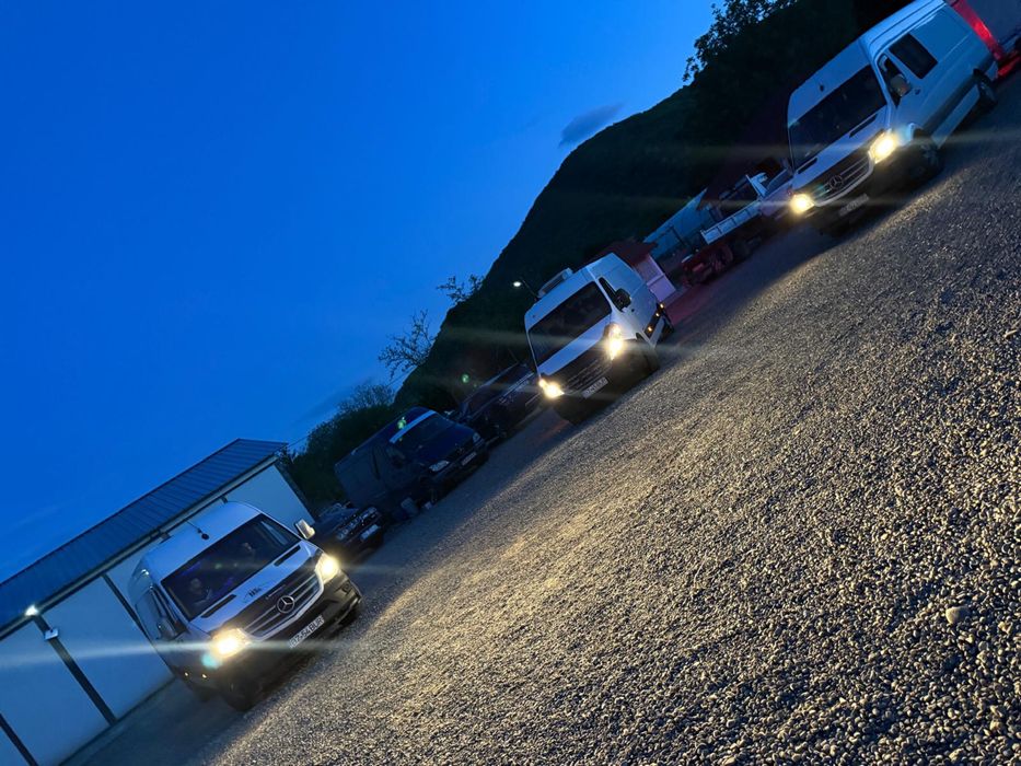 Plecari Anglia  Germania Belgia