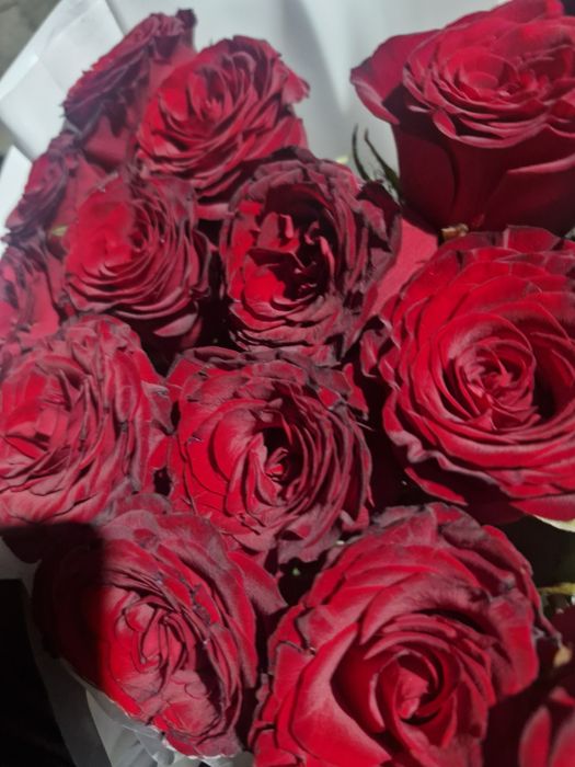 Розы 12 штук красные