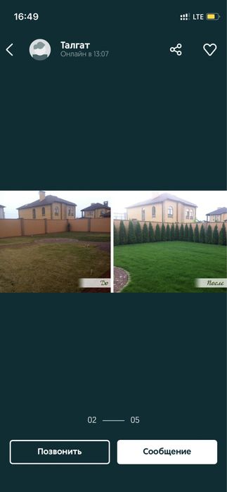 Газон посевной