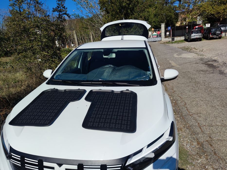 Гумени стелки за Дачия Сандеро II