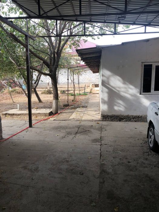 Нуржан nurjan Бухарская 38