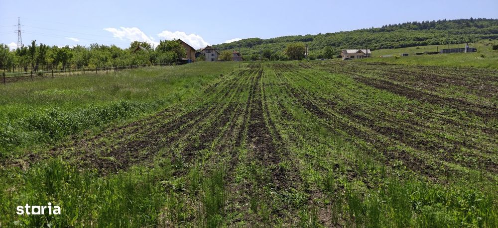 Teren intravilan –Valcele, zona foarte buna spre Cluj-Napoca