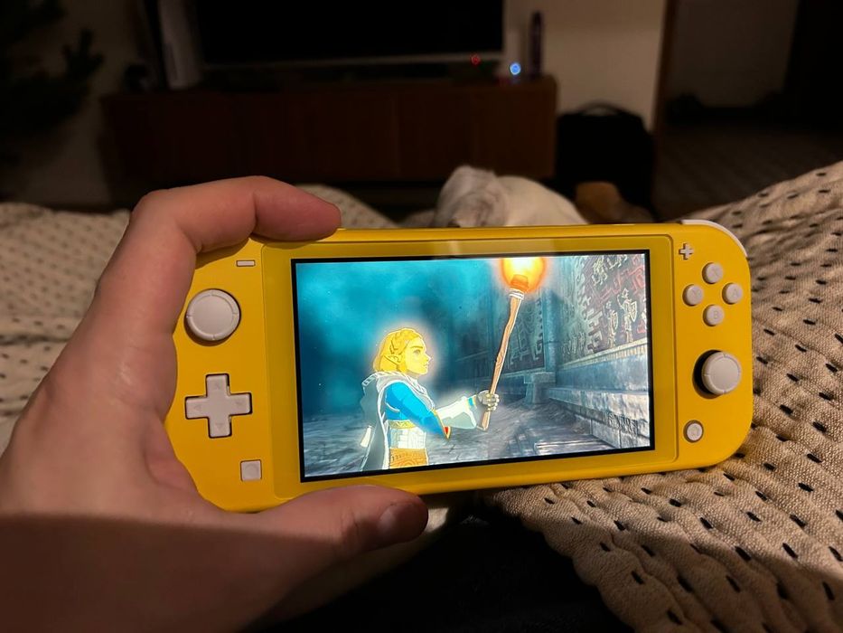 Nintendo switch lite чипованная