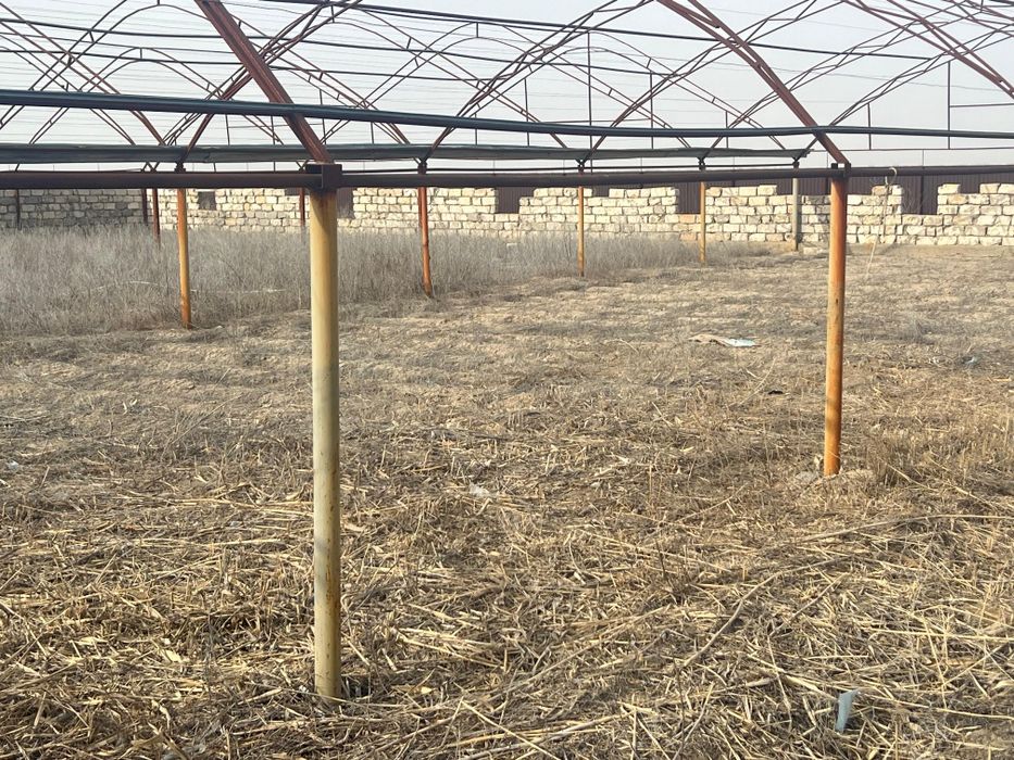 Аренда теплицы в балауса