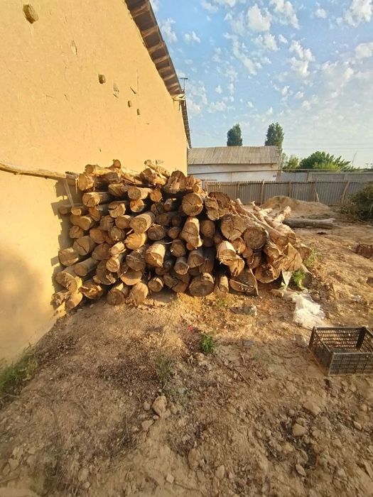 tosin sotiladi arzon