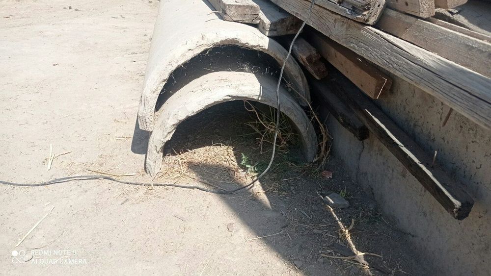 Qo'yga, Buzoqlarga oxir