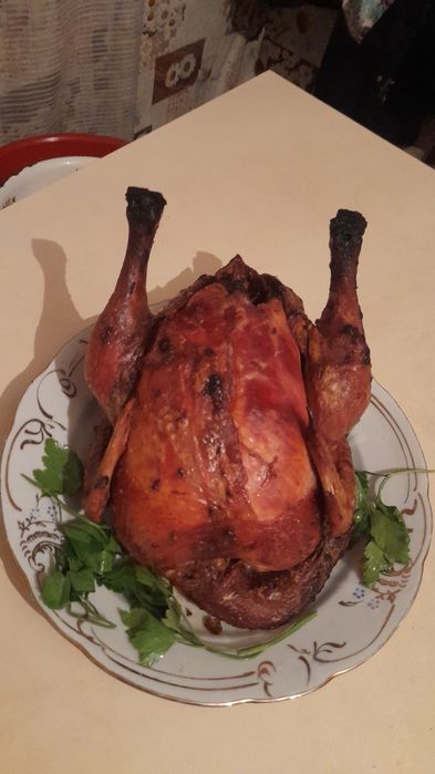 Домашние куры бройлер мясо курица