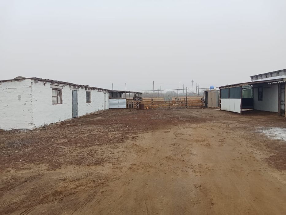 Продам дом с большой базой.