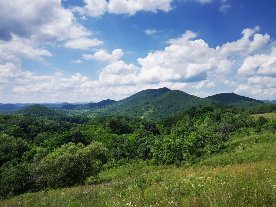 Proprietate de vânzare în sat Barbura, județul Hunedoara – 42.500 mp