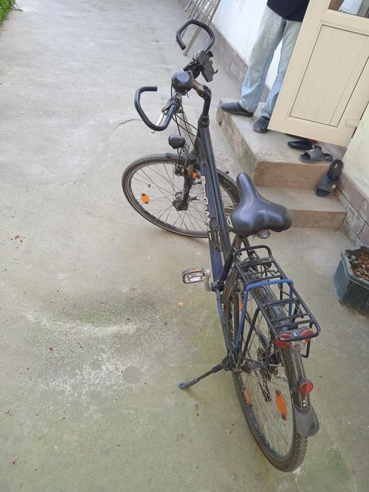 Veosapet spartvni satladi