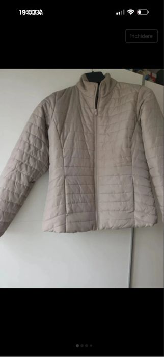 Jacheta primavara dama