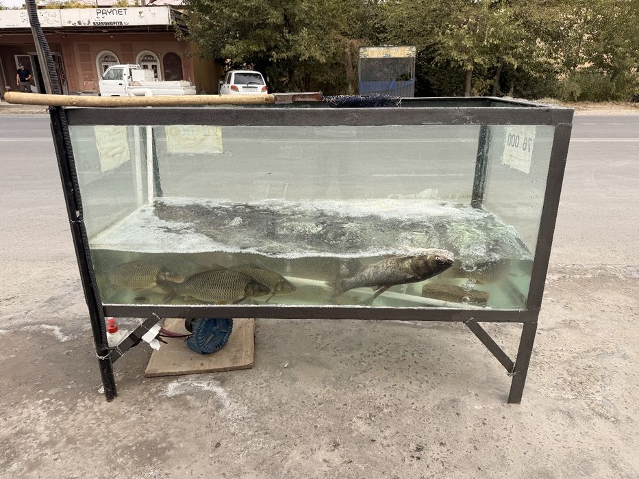 Акварум сотилади